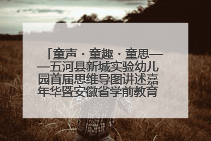 童声・童趣・童思——五河县新城实验幼儿园首届思维导图讲述嘉年华暨安徽省学前教育教研基地园项目阶段性成果展示活动
