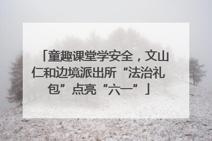 童趣课堂学安全，文山仁和边境派出所“法治礼包”点亮“六一”