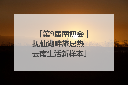 第9届南博会｜抚仙湖畔旅居热 云南生活新样本