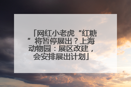 网红小老虎“红糖”将暂停展出？上海动物园：展区改建，会安排展出计划