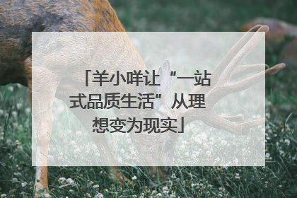 羊小咩让“一站式品质生活”从理想变为现实