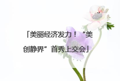 美丽经济发力！“美创静界”首秀上交会