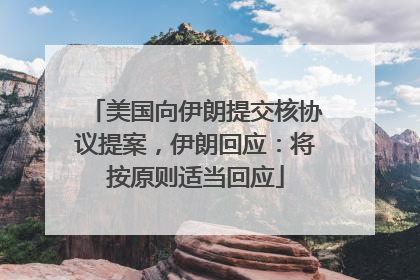 美国向伊朗提交核协议提案，伊朗回应：将按原则适当回应