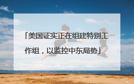 美国证实正在组建特别工作组，以监控中东局势