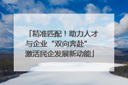 精准匹配！助力人才与企业“双向奔赴” 激活民企发展新动能