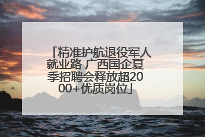 精准护航退役军人就业路 广西国企夏季招聘会释放超2000+优质岗位