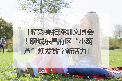 精彩亮相深圳文博会！聊城东昌府区“小葫芦”焕发数字新活力