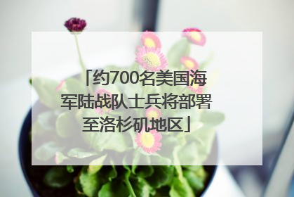 约700名美国海军陆战队士兵将部署至洛杉矶地区