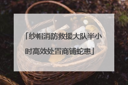 纱帽消防救援大队半小时高效处置商铺蛇患