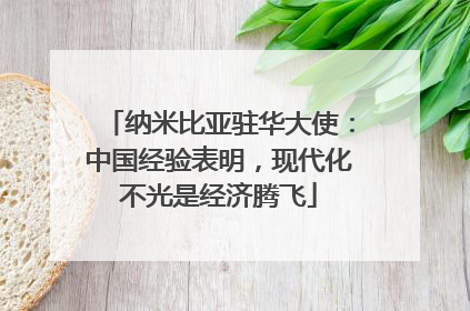 纳米比亚驻华大使：中国经验表明，现代化不光是经济腾飞