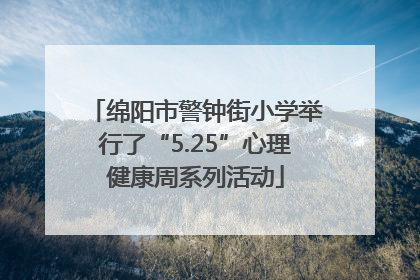 绵阳市警钟街小学举行了“5.25”心理健康周系列活动