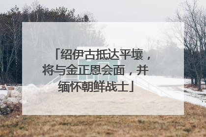 绍伊古抵达平壤，将与金正恩会面，并缅怀朝鲜战士