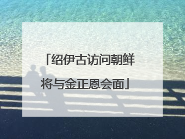 绍伊古访问朝鲜 将与金正恩会面