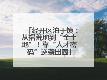 经开区泊于镇：从撂荒地到“金土地”！靠“人才密码”逆袭出圈