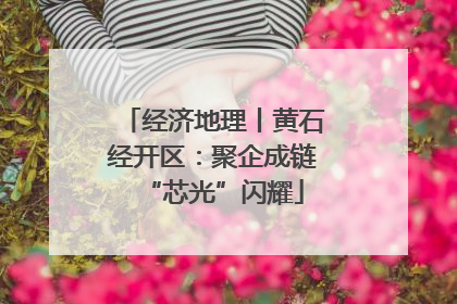 经济地理丨黄石经开区：聚企成链“芯光”闪耀
