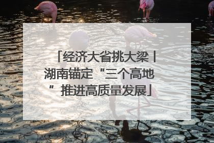 经济大省挑大梁丨湖南锚定“三个高地”推进高质量发展