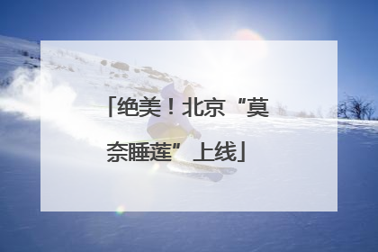 绝美！北京“莫奈睡莲”上线
