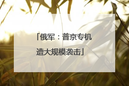 俄军：普京专机遭大规模袭击