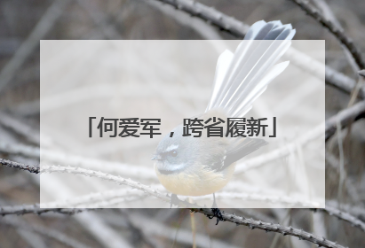 何爱军，跨省履新