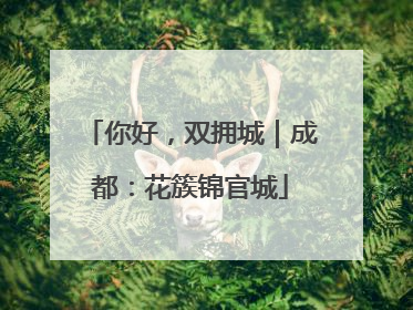 你好，双拥城｜成都：花簇锦官城
