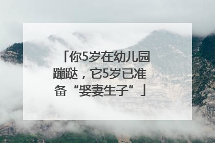你5岁在幼儿园蹦跶，它5岁已准备“娶妻生子”
