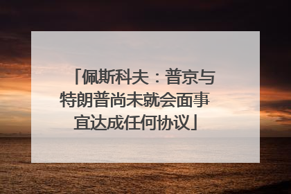 佩斯科夫：普京与特朗普尚未就会面事宜达成任何协议