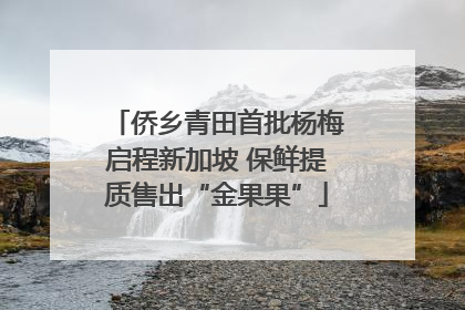 侨乡青田首批杨梅启程新加坡 保鲜提质售出“金果果”