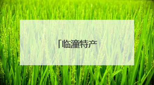 临潼特产亮相香港