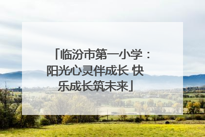 临汾市第一小学：阳光心灵伴成长 快乐成长筑未来