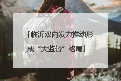 临沂双向发力推动形成“大监督”格局