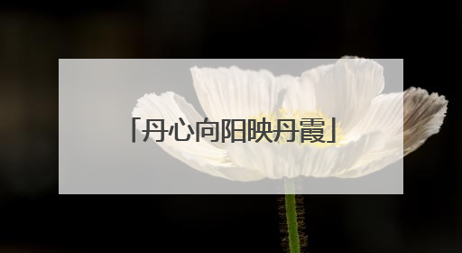 丹心向阳映丹霞