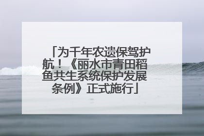 为千年农遗保驾护航！《丽水市青田稻鱼共生系统保护发展条例》正式施行