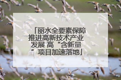 丽水全要素保障推进高新技术产业发展 高“含新量”项目加速落地