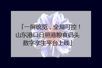 一屏统览，全局可控！山东港口日照港粮食码头数字孪生平台上线