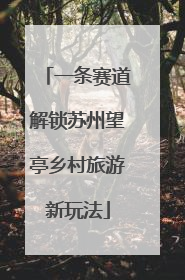 一条赛道解锁苏州望亭乡村旅游新玩法