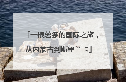 一根薯条的国际之旅，从内蒙古到斯里兰卡