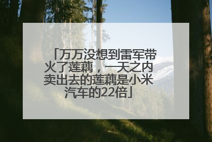 万万没想到雷军带火了莲藕，一天之内卖出去的莲藕是小米汽车的22倍