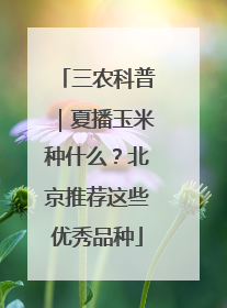 三农科普｜夏播玉米种什么？北京推荐这些优秀品种