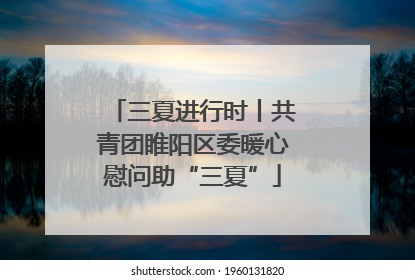 三夏进行时丨共青团睢阳区委暖心慰问助“三夏”
