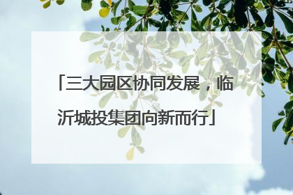 三大园区协同发展，临沂城投集团向新而行