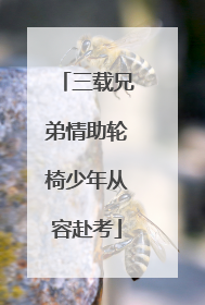 三载兄弟情助轮椅少年从容赴考