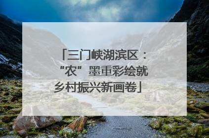三门峡湖滨区：“农”墨重彩绘就乡村振兴新画卷