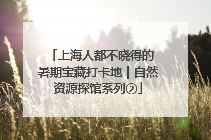 上海人都不晓得的 暑期宝藏打卡地｜自然资源探馆系列②