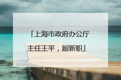 上海市政府办公厅主任王平，履新职