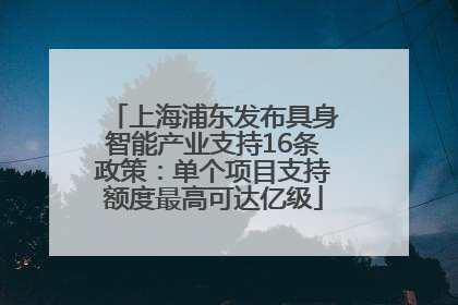 上海浦东发布具身智能产业支持16条政策：单个项目支持额度最高可达亿级