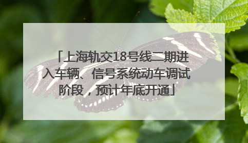 上海轨交18号线二期进入车辆、信号系统动车调试阶段，预计年底开通