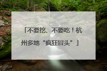 不要挖、不要吃！杭州多地“疯狂冒头”