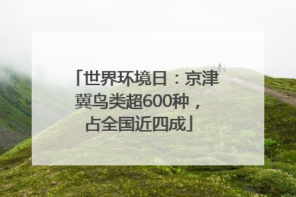 世界环境日：京津冀鸟类超600种，占全国近四成