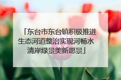 东台市东台镇积极推进生态河道整治实现河畅水清岸绿景美新愿景