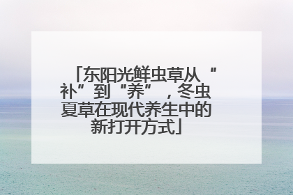 东阳光鲜虫草从“补”到“养”，冬虫夏草在现代养生中的新打开方式